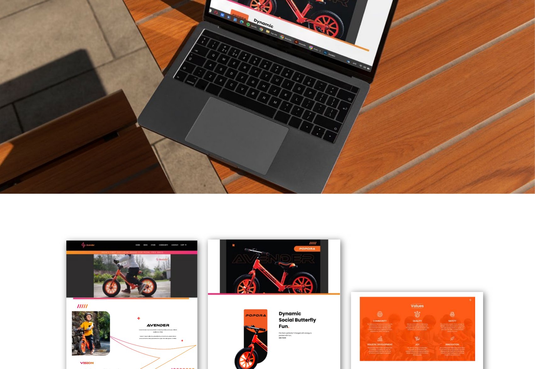 Brochure system
