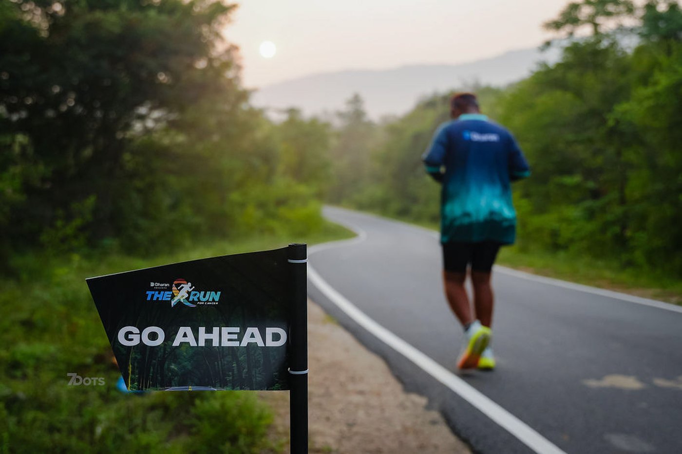 GO AHEAD — the forest road